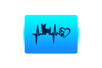 1416 Kwiaty | Motyle | Zwierzaki